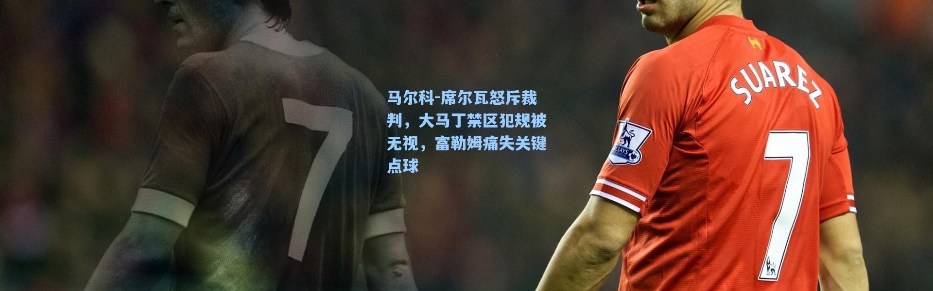 马尔科-席尔瓦怒斥裁判，大马丁禁区犯规被无视，富勒姆痛失关键点球