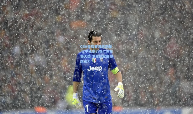 CBA季后赛激战正酣 辽宁本钢力克广东东莞大益 卫冕冠军展现统治力