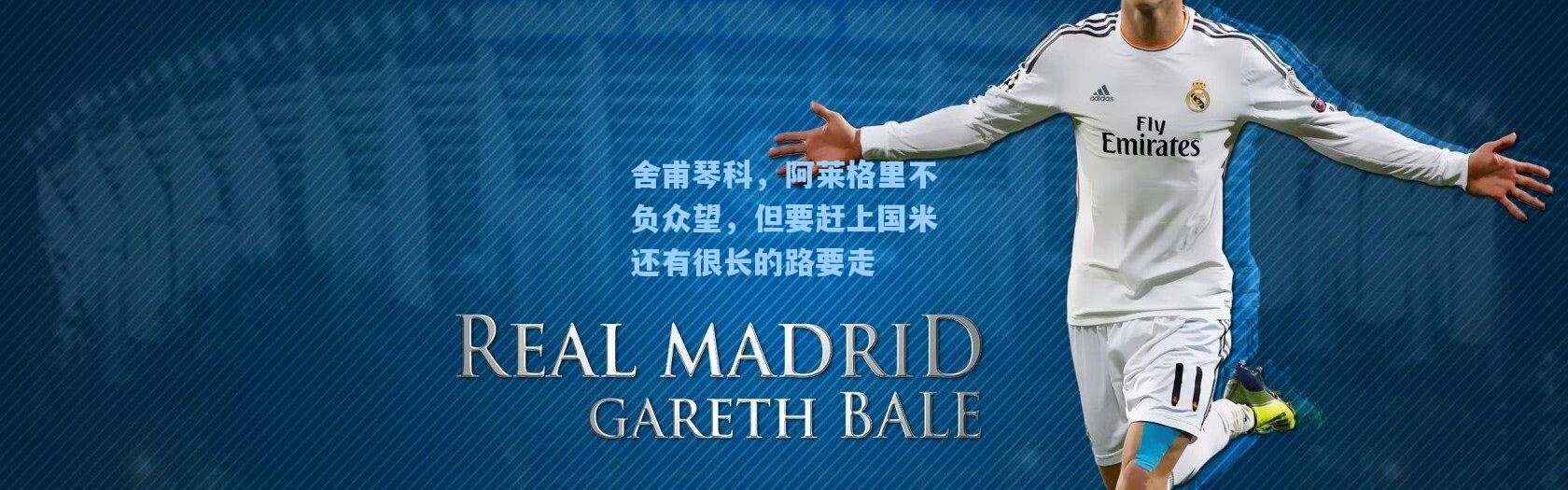 舍甫琴科，阿莱格里不负众望，但要赶上国米还有很长的路要走