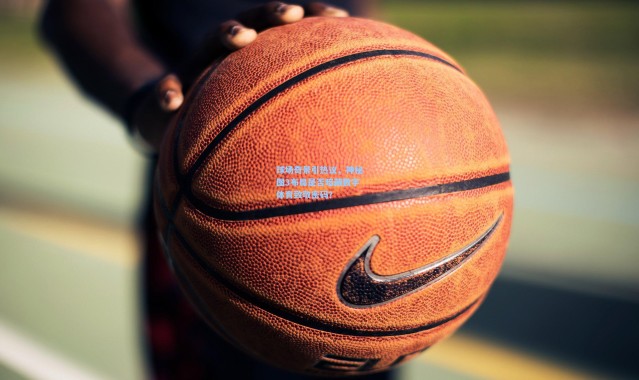 球场奇景引热议，神秘图3布局是否暗藏数字体育致敬密码？